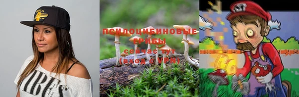 кокс Бородино