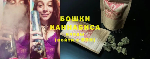 шишки Бугульма
