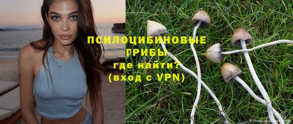 кокс Бородино