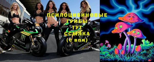 кокс Бородино