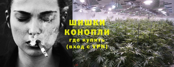 шишки Бугульма