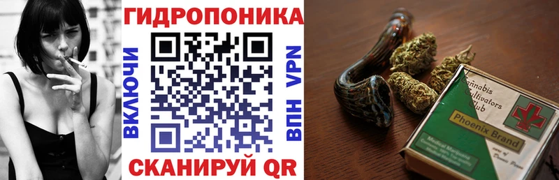 Купить  Североморск  Бошки Шишки ГИДРОПОН 